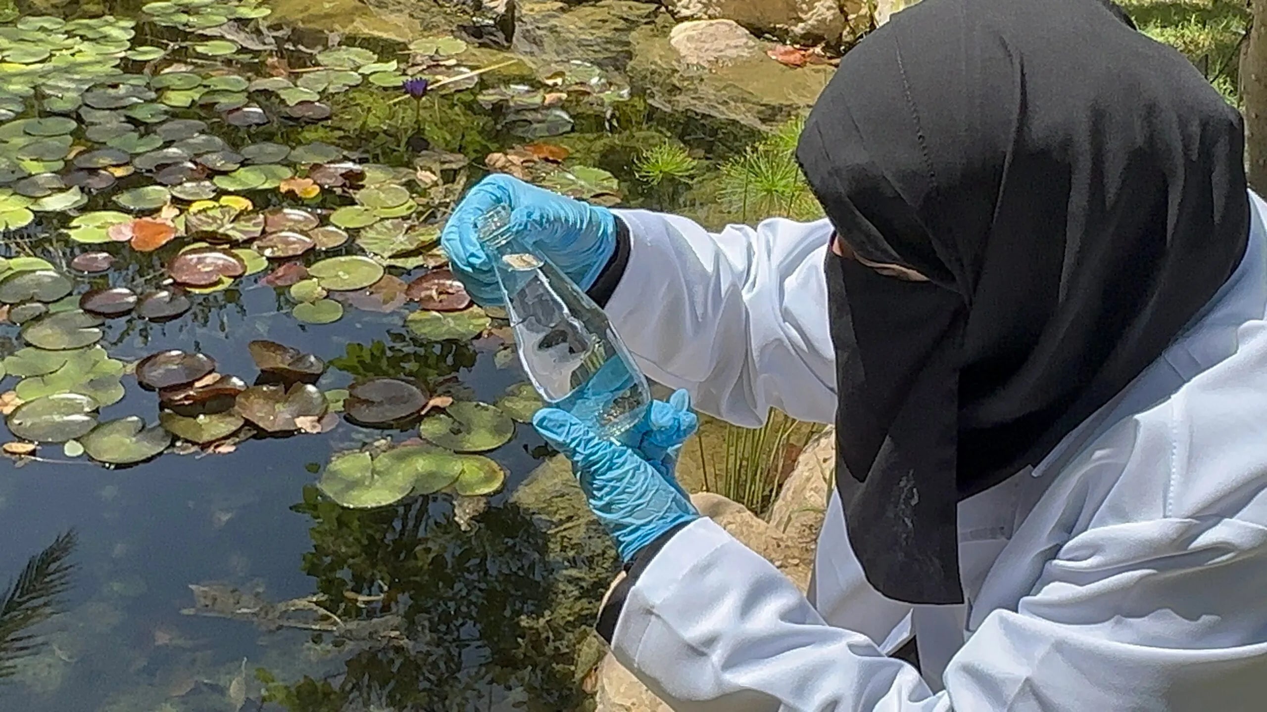 Qatari Startup Drive Climate Tech with AlgaQ